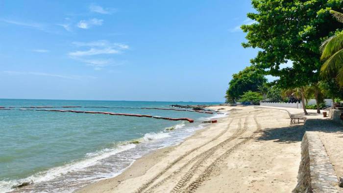 Laguna Heights nearby sandy beach with calm ocean, tire tracks, and green trees under a blue sky.