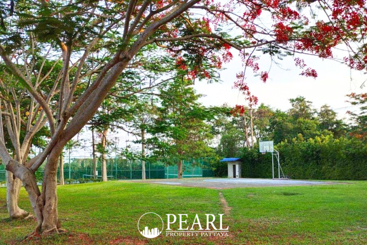 Nibbana Shade outdoor basketball court surrounded by green grass and mature trees.