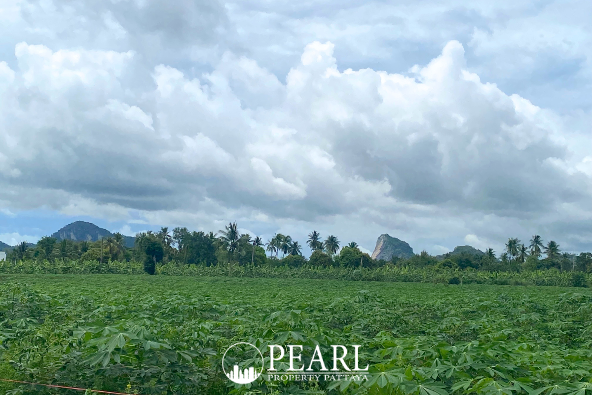 Land For Sale In Khao Chi Chan 1 Rai image